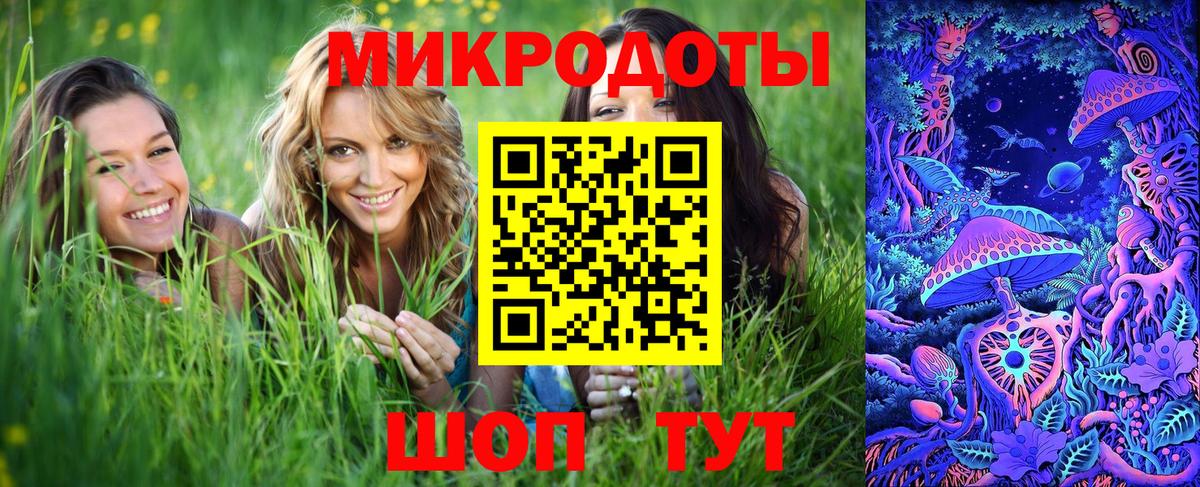 Нижний Новгород  Галлюциногенные грибы Psilocybine cubensis  Галлюциногенные грибы Psilocybine cubensis  Вход с VPN 